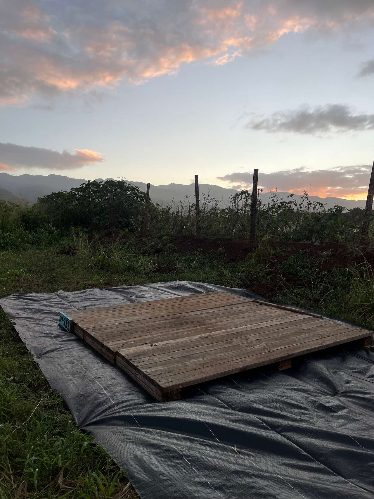 Picture of the site