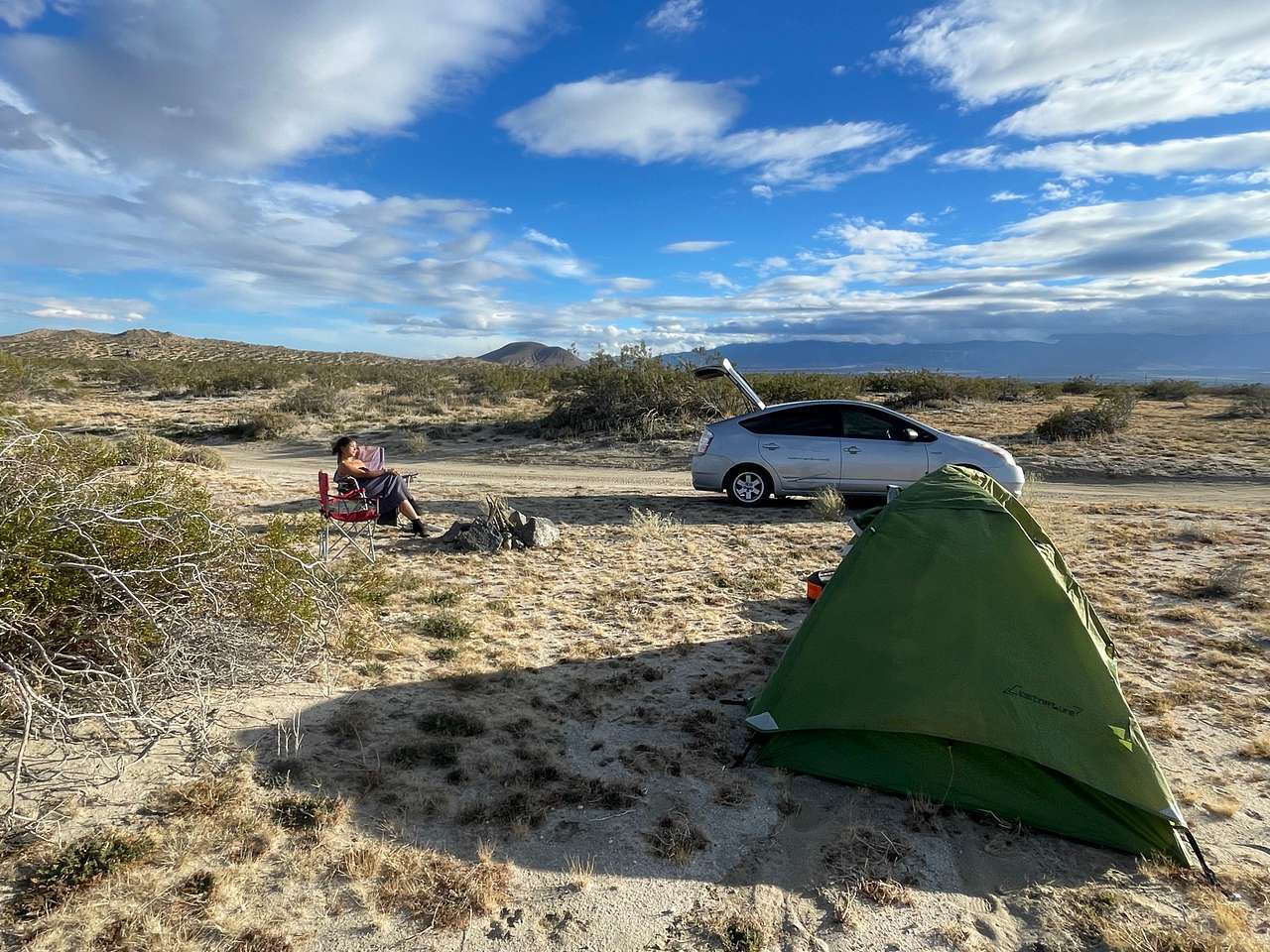 Picture of the site
