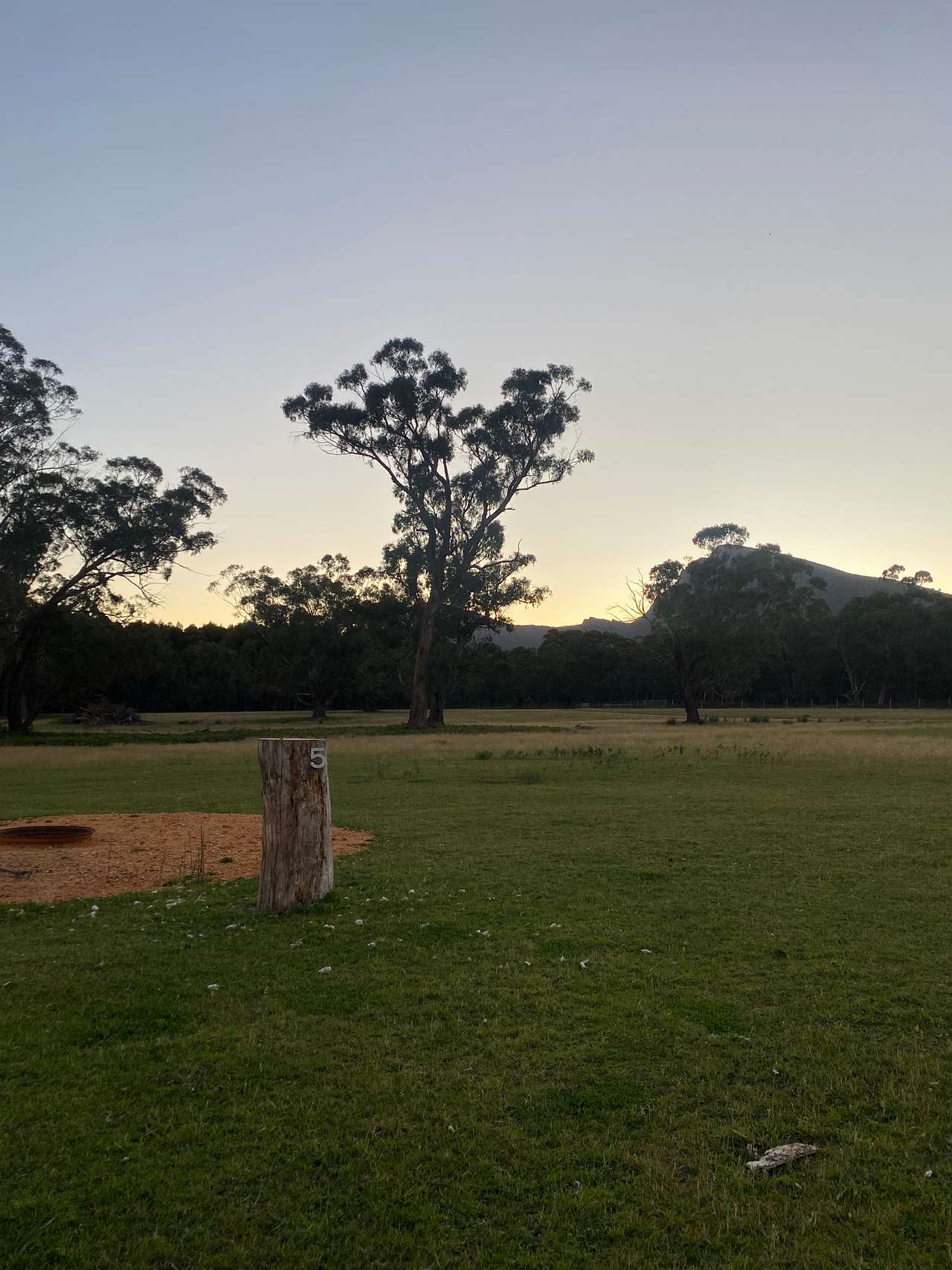 Picture of the site