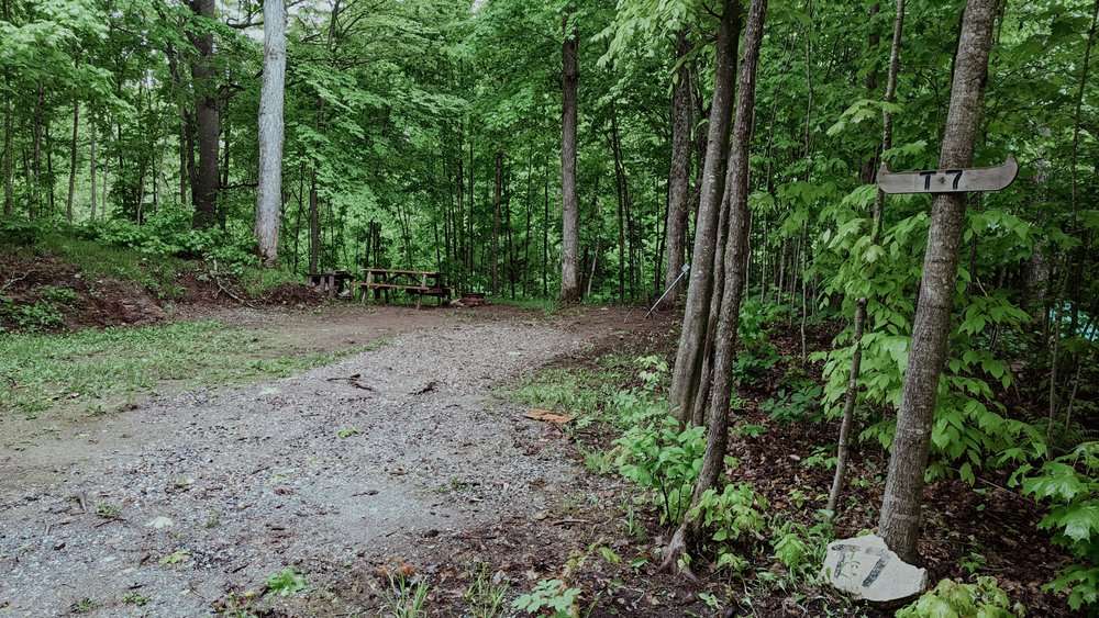 Picture of the site