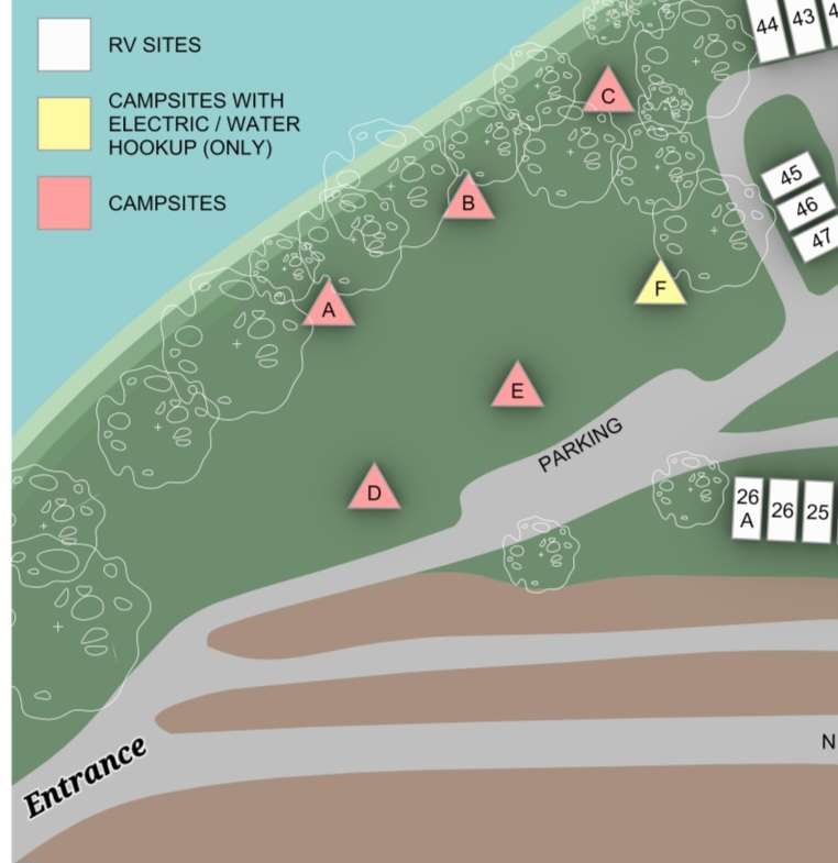 Picture of the site