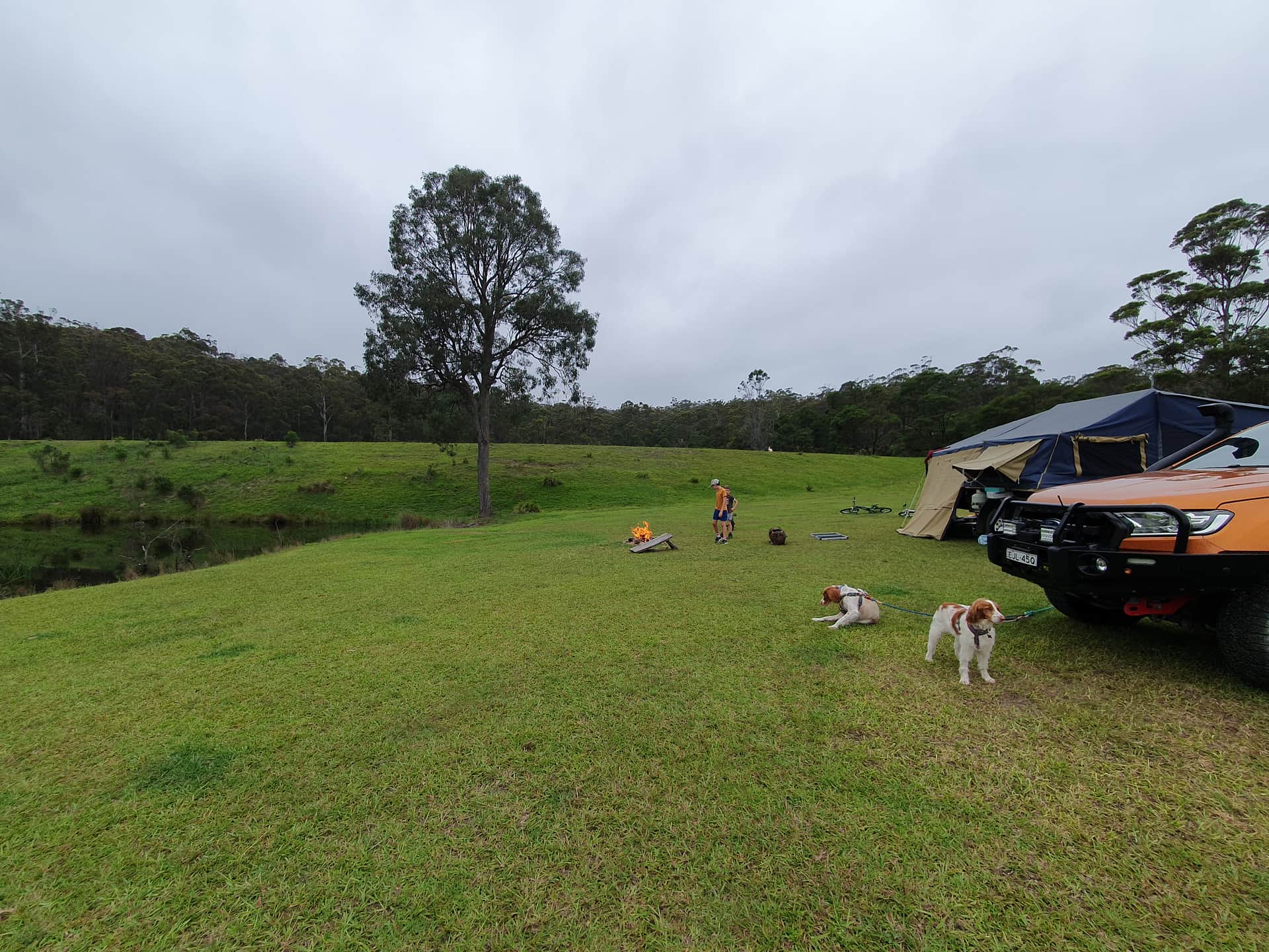 Picture of the site