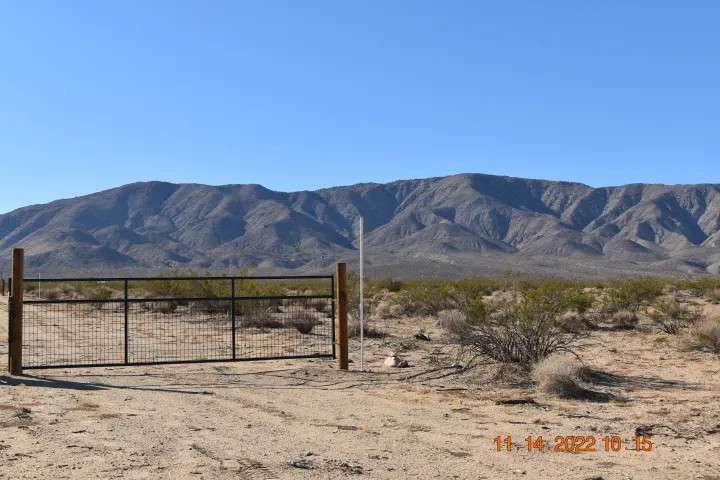 Picture of the site