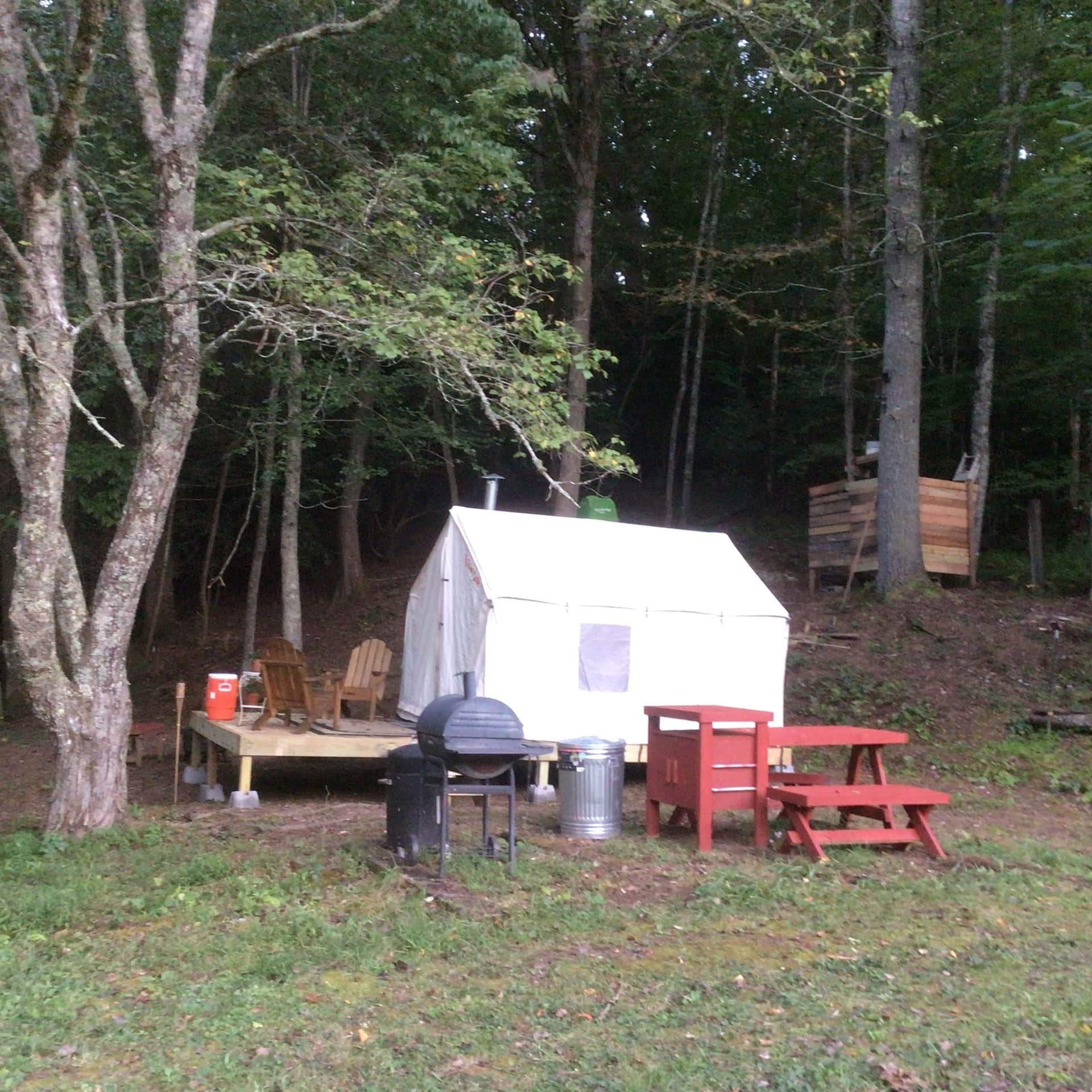 Picture of the site