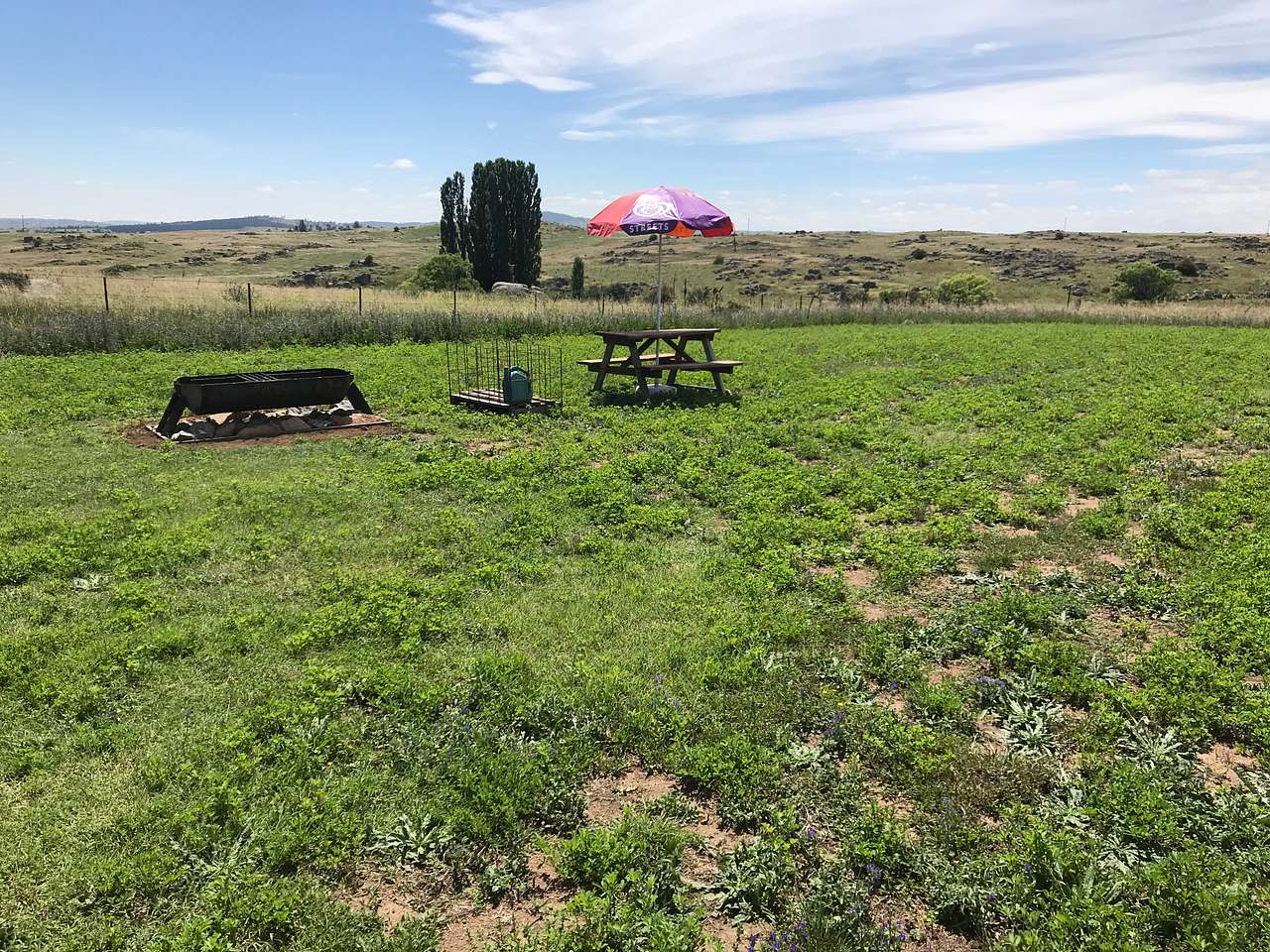 Picture of the site
