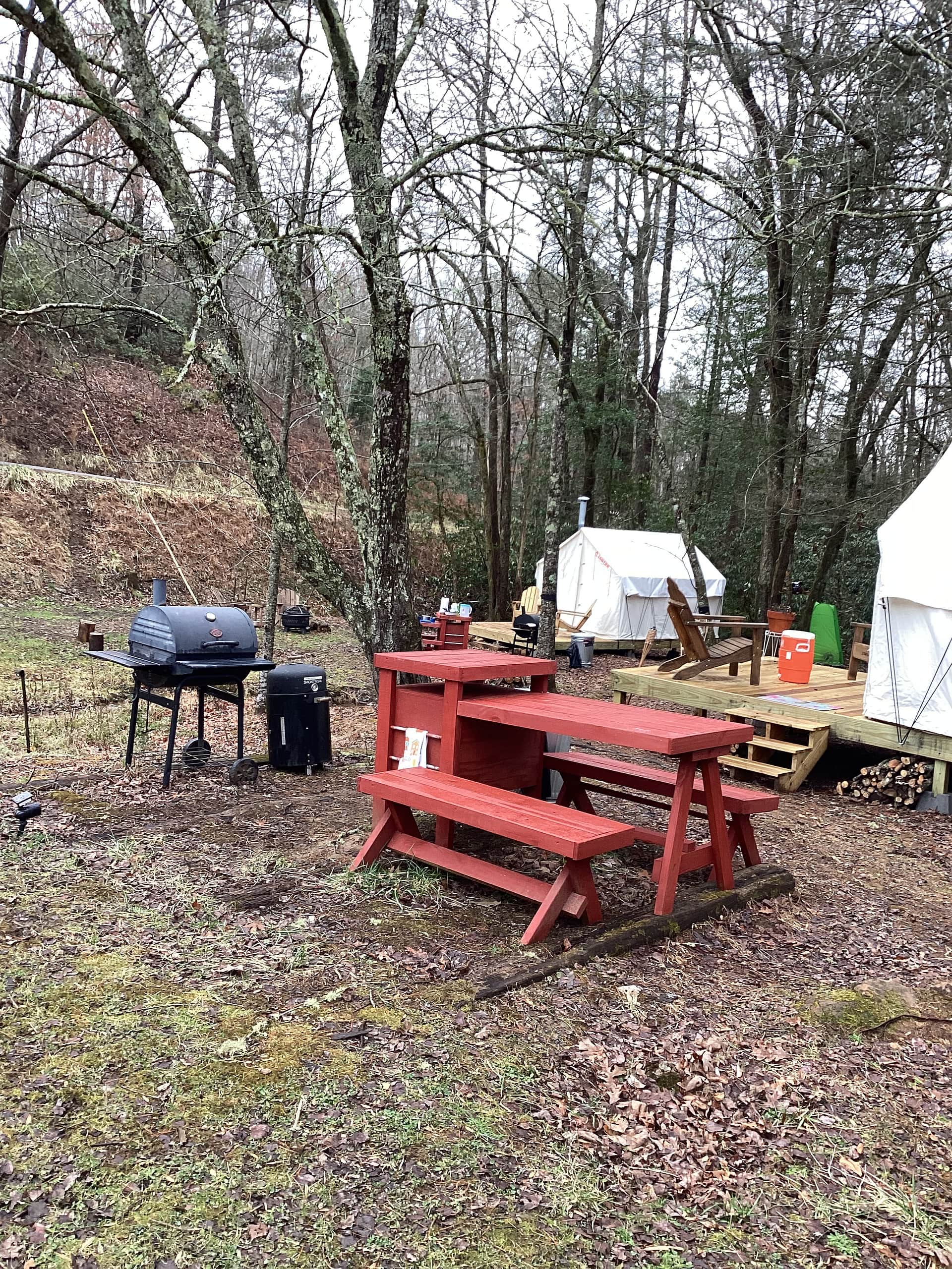 Picture of the site