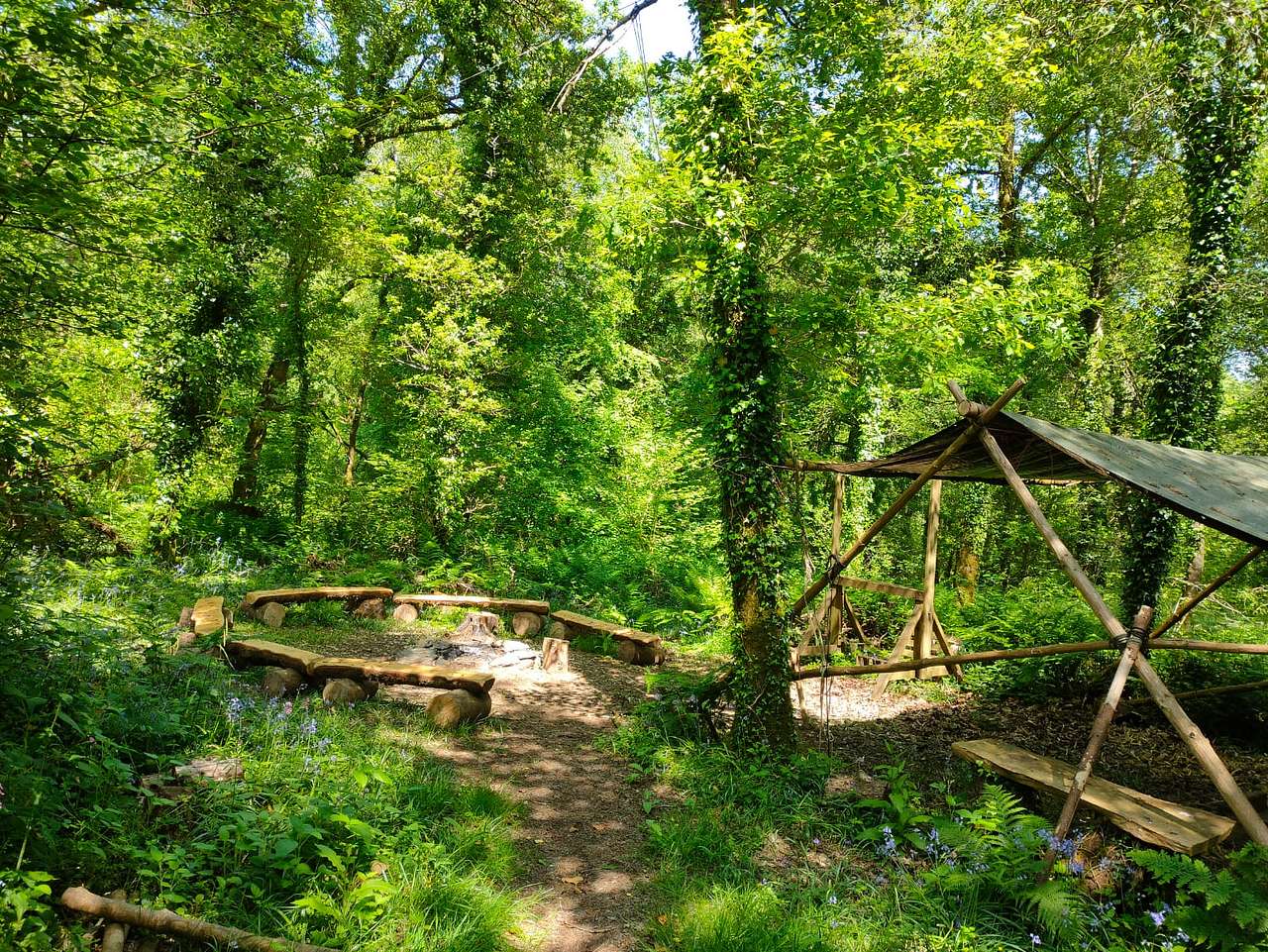 Picture of the site