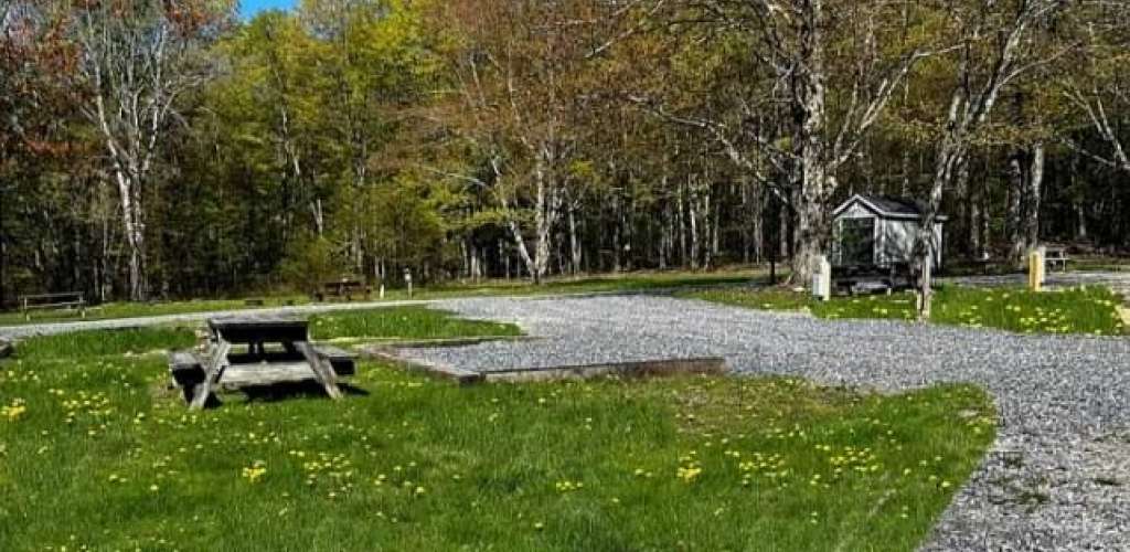 Picture of the site