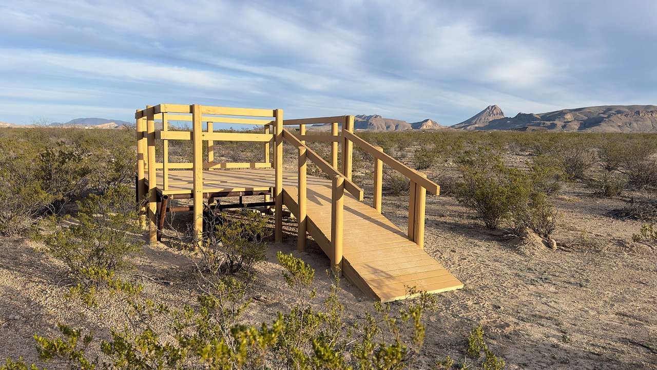 Picture of the site