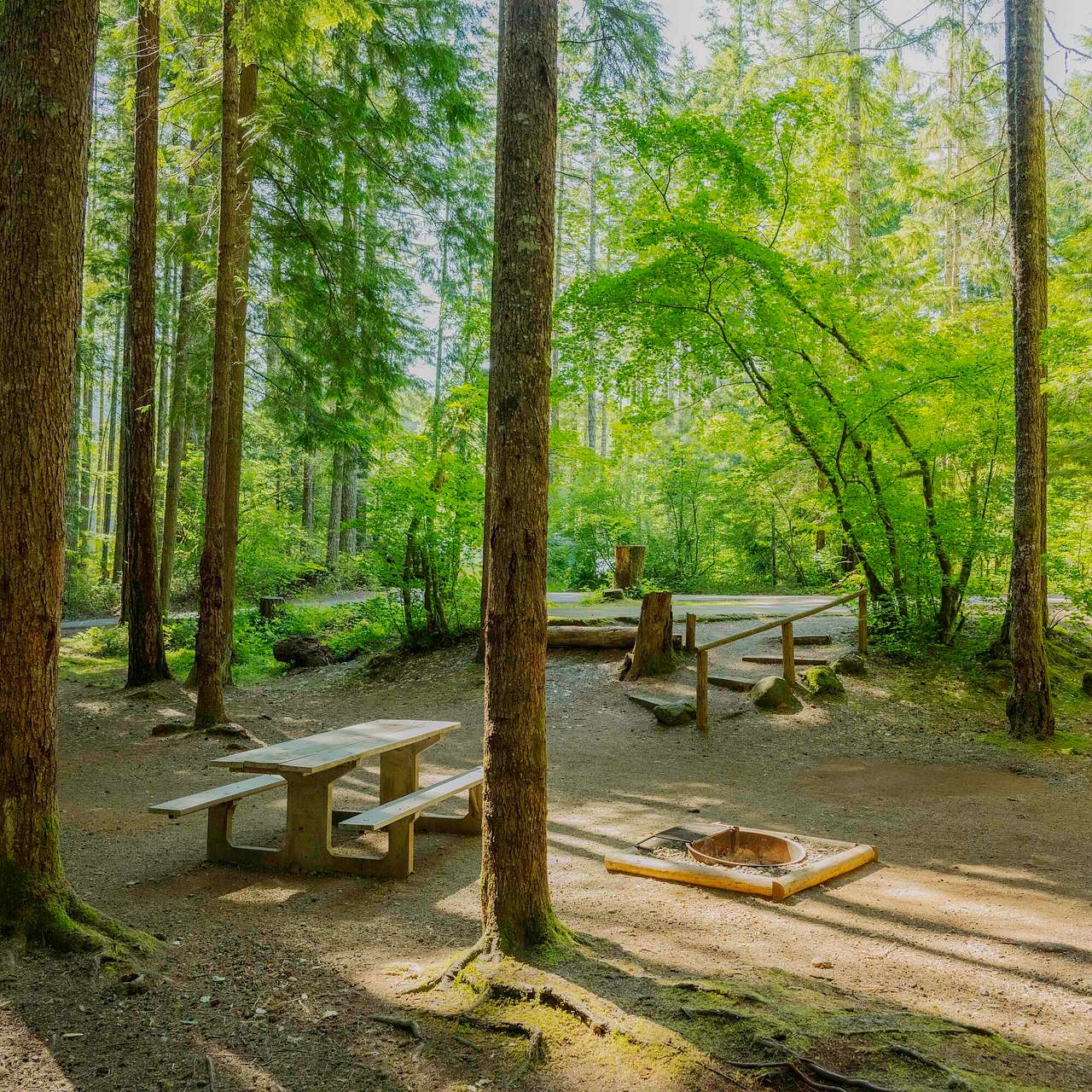 Picture of the site