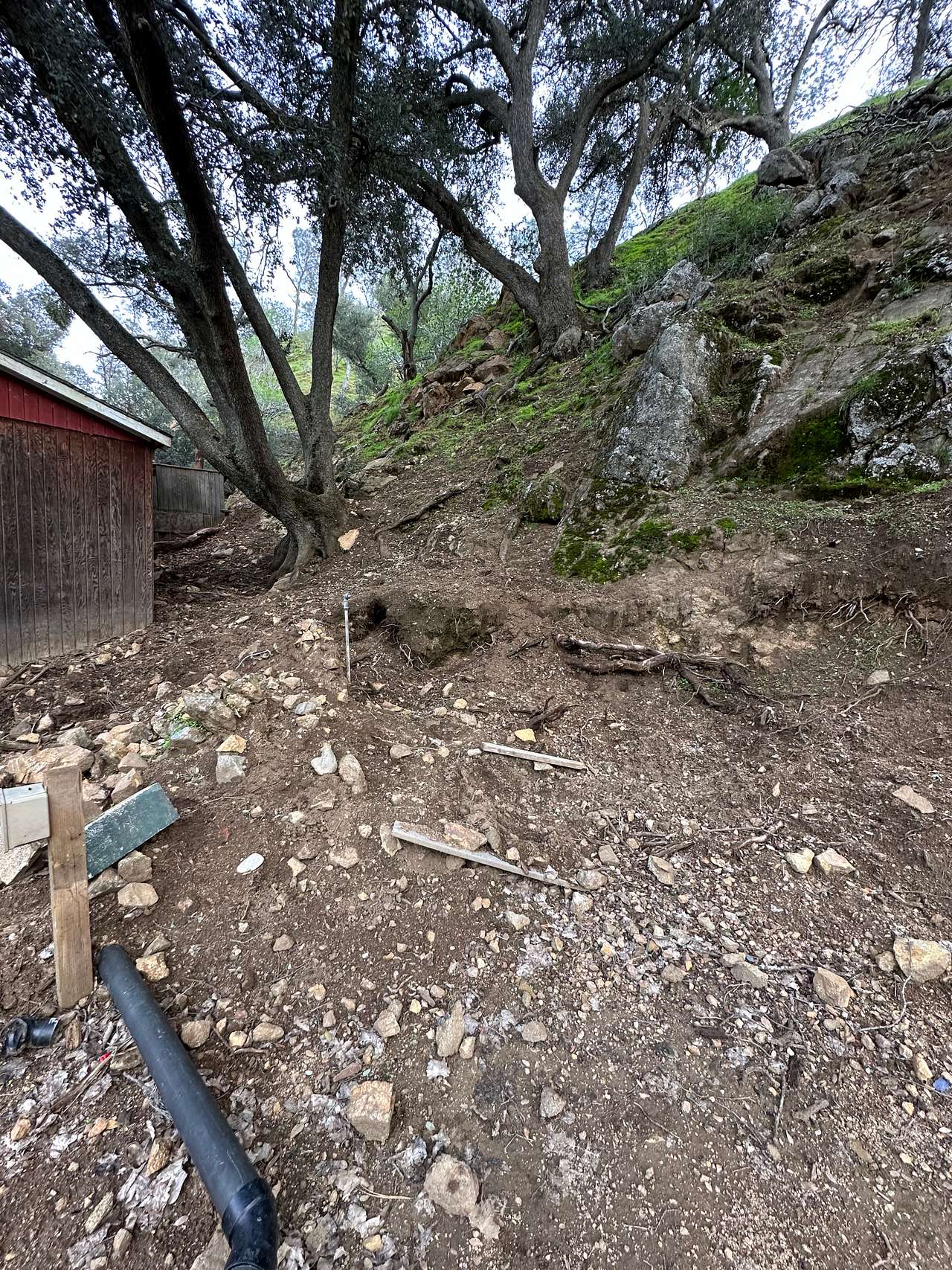 Picture of the site