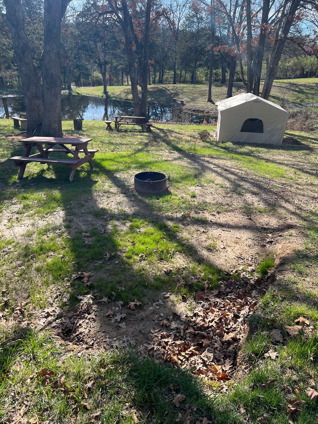 Picture of the site
