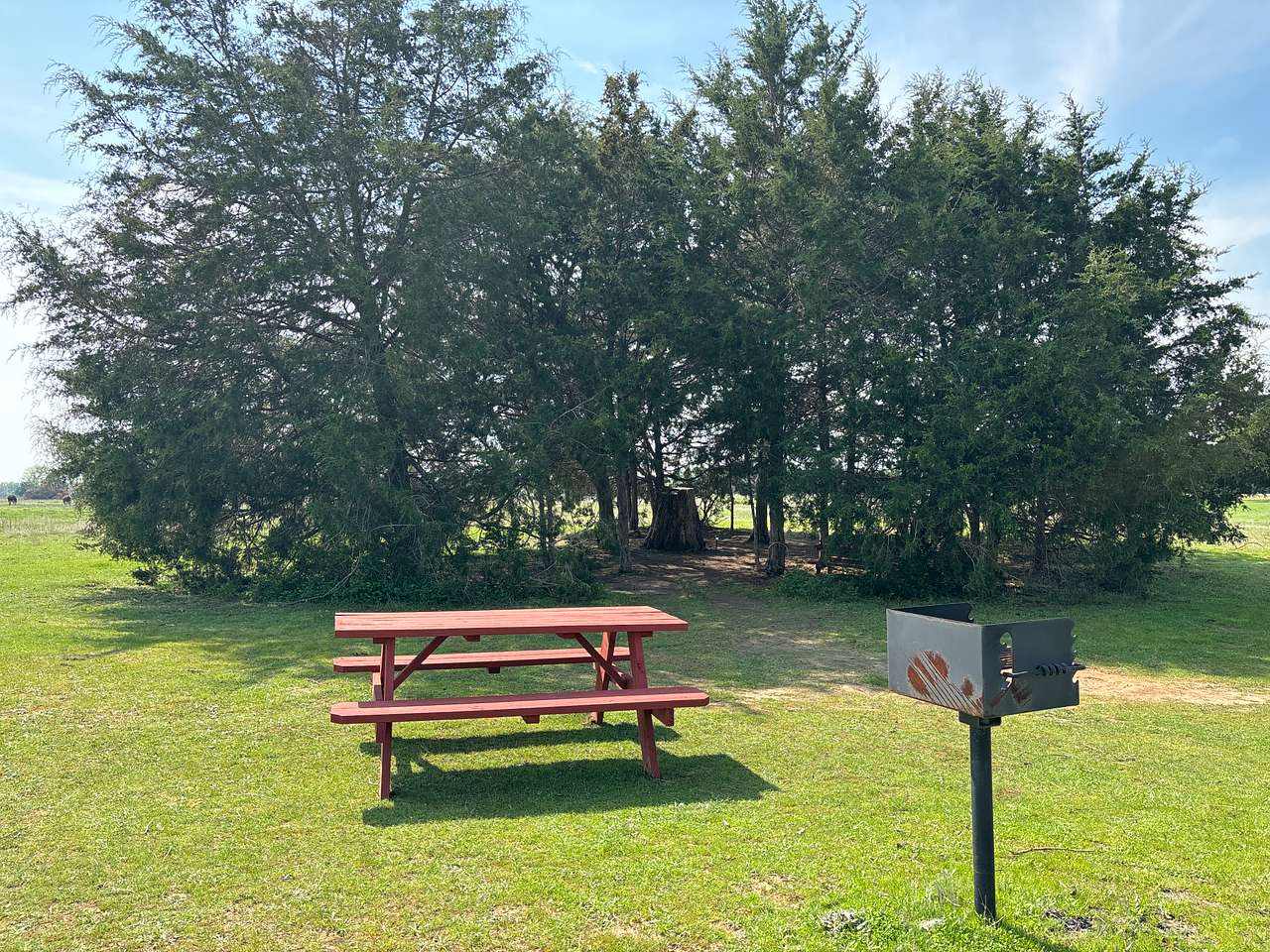 Picture of the site