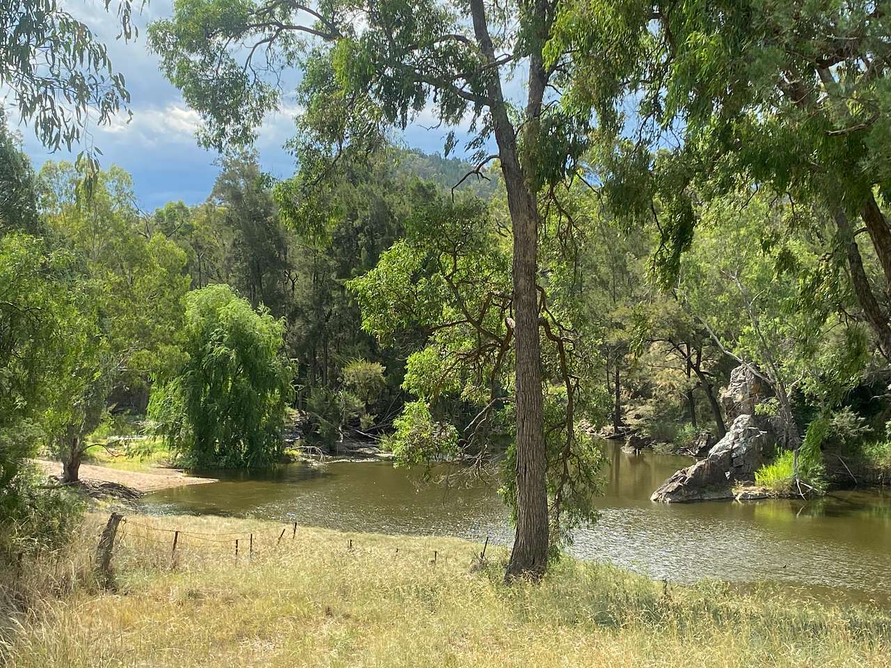 Picture of the site