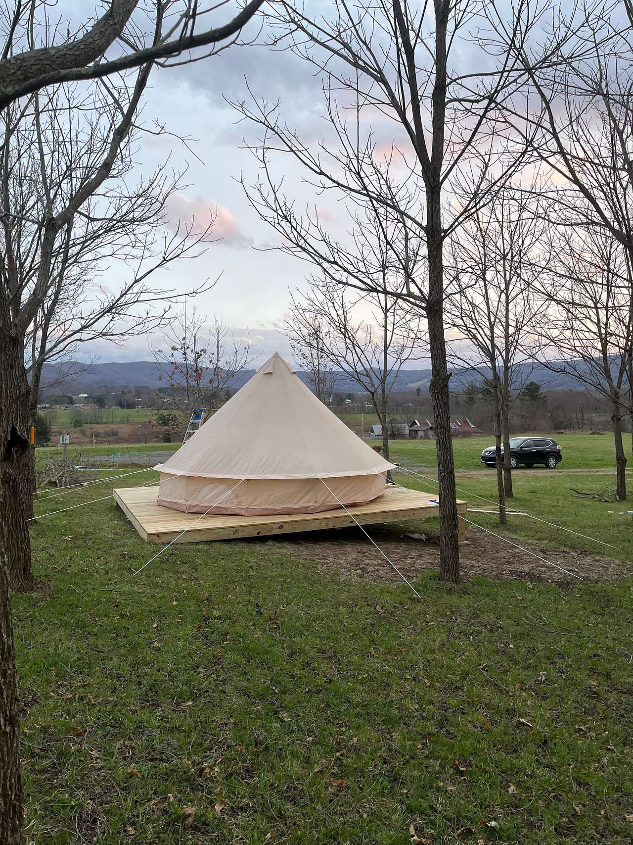 Picture of the site
