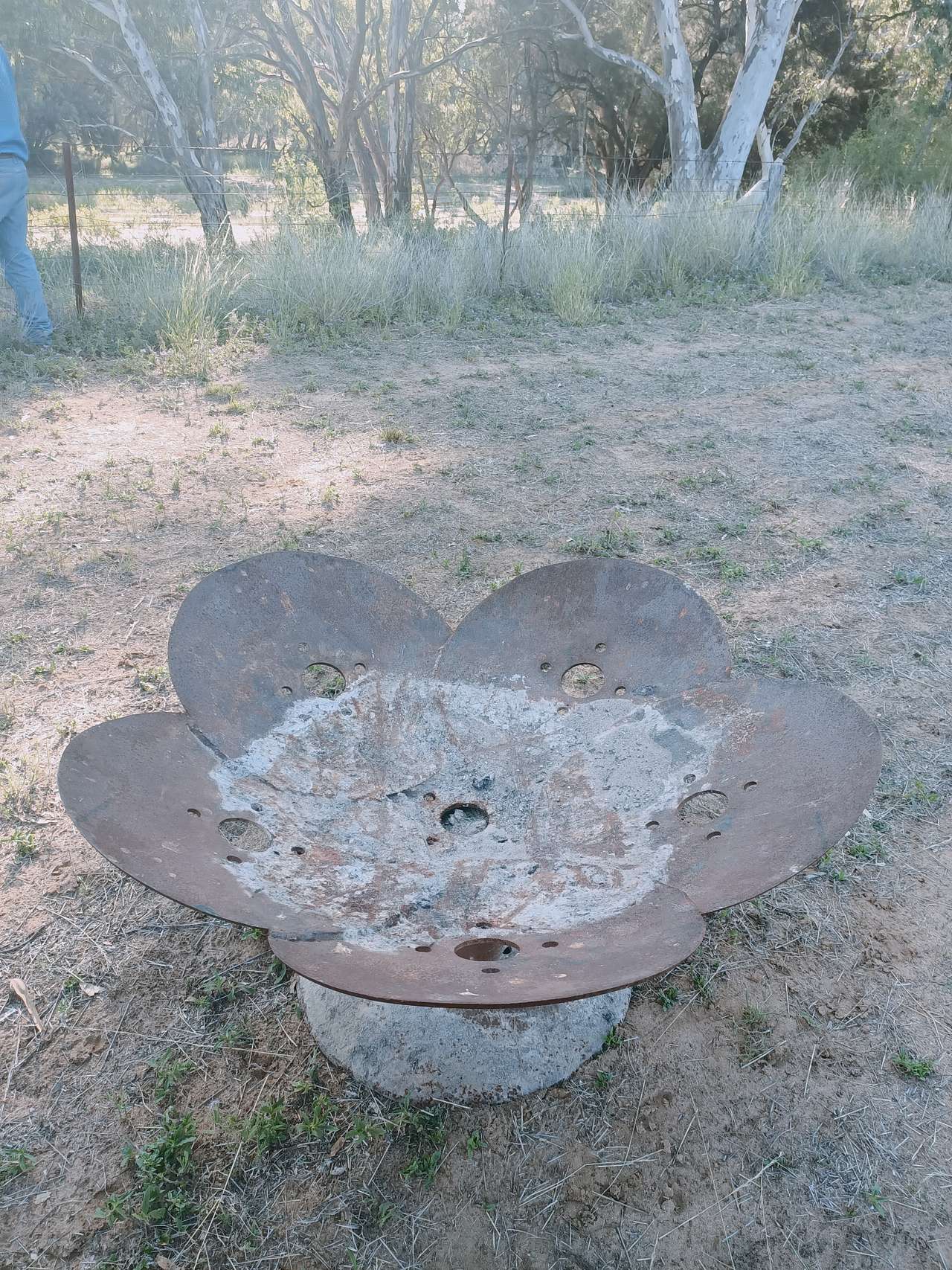 Picture of the site