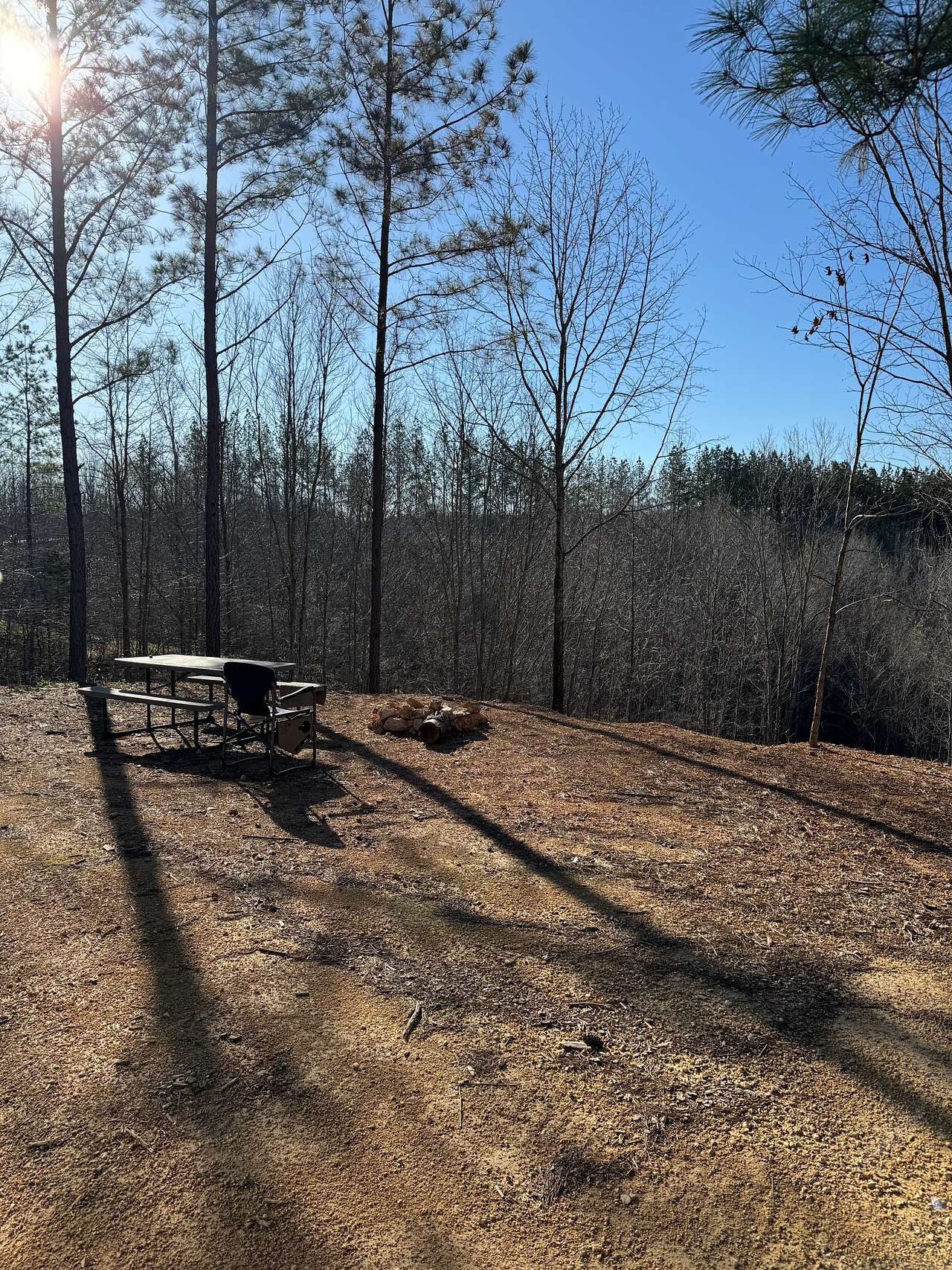 Picture of the site