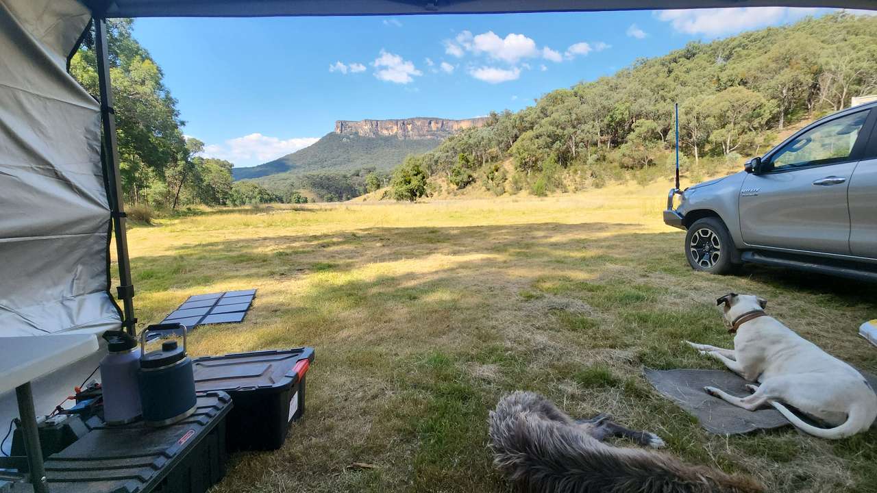 Picture of the site