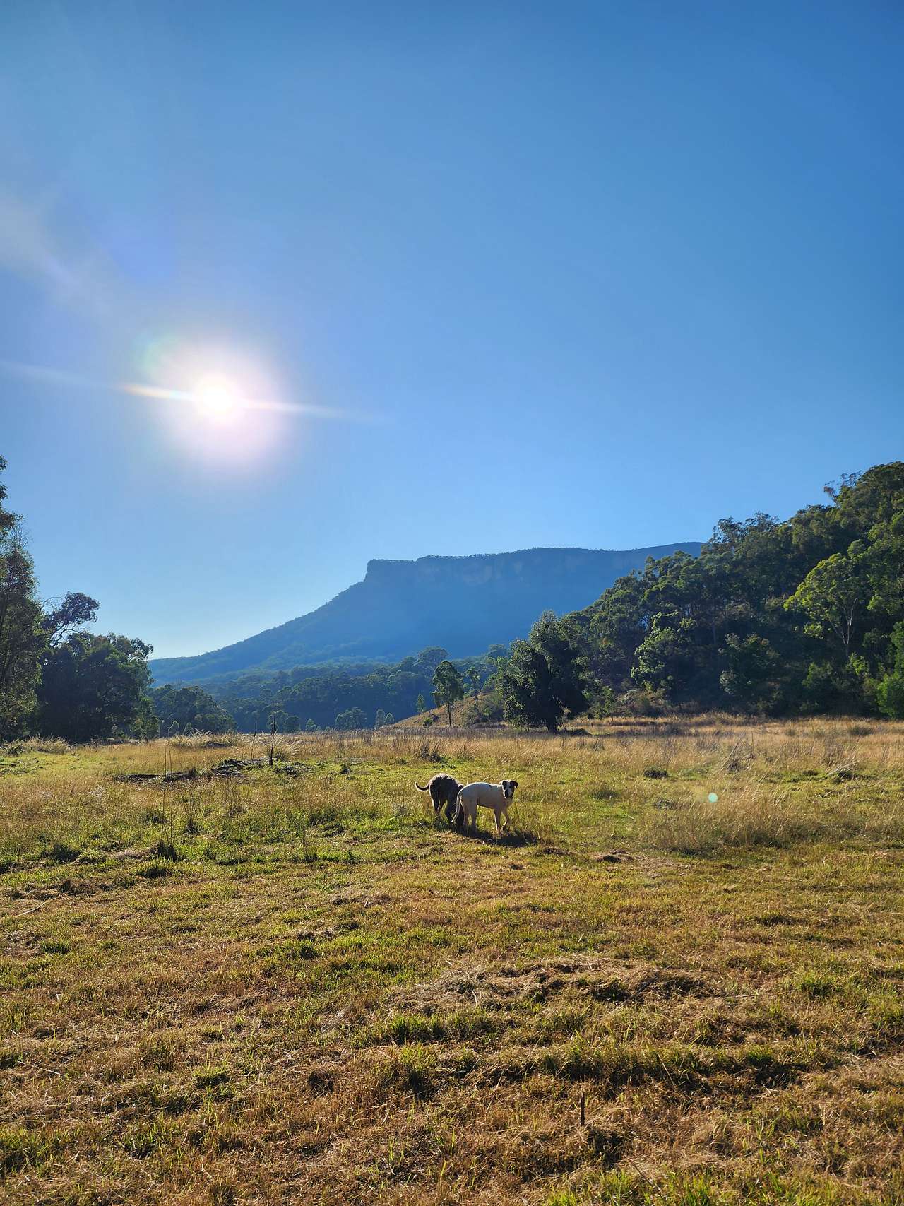 Picture of the site
