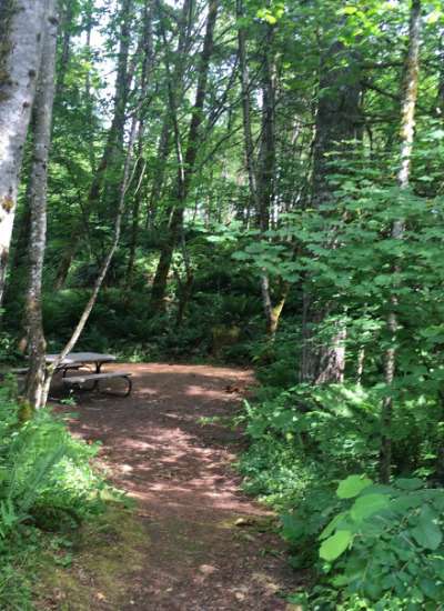 Picture of the site