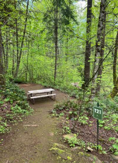 Picture of the site