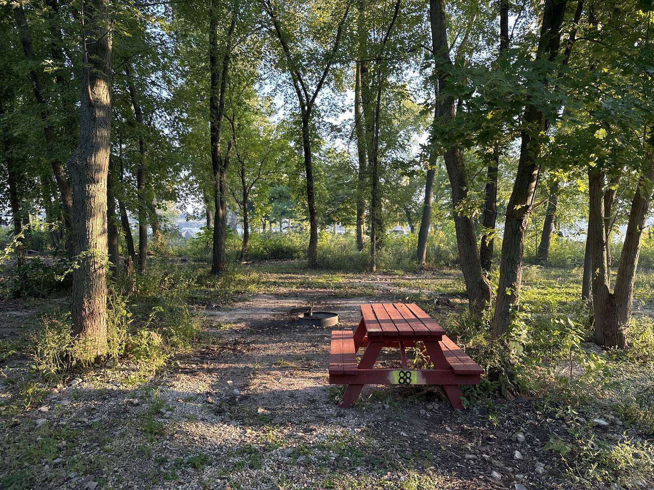 Picture of the site
