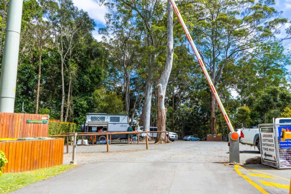 Picture of the site