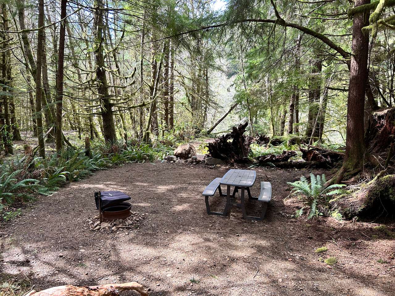 Picture of the site