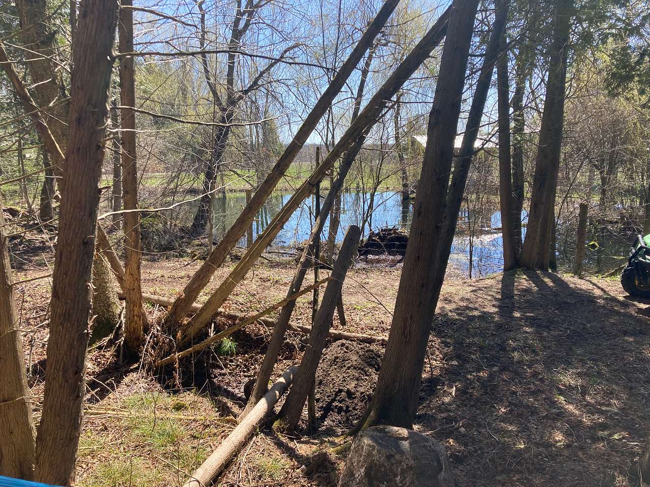 Picture of the site