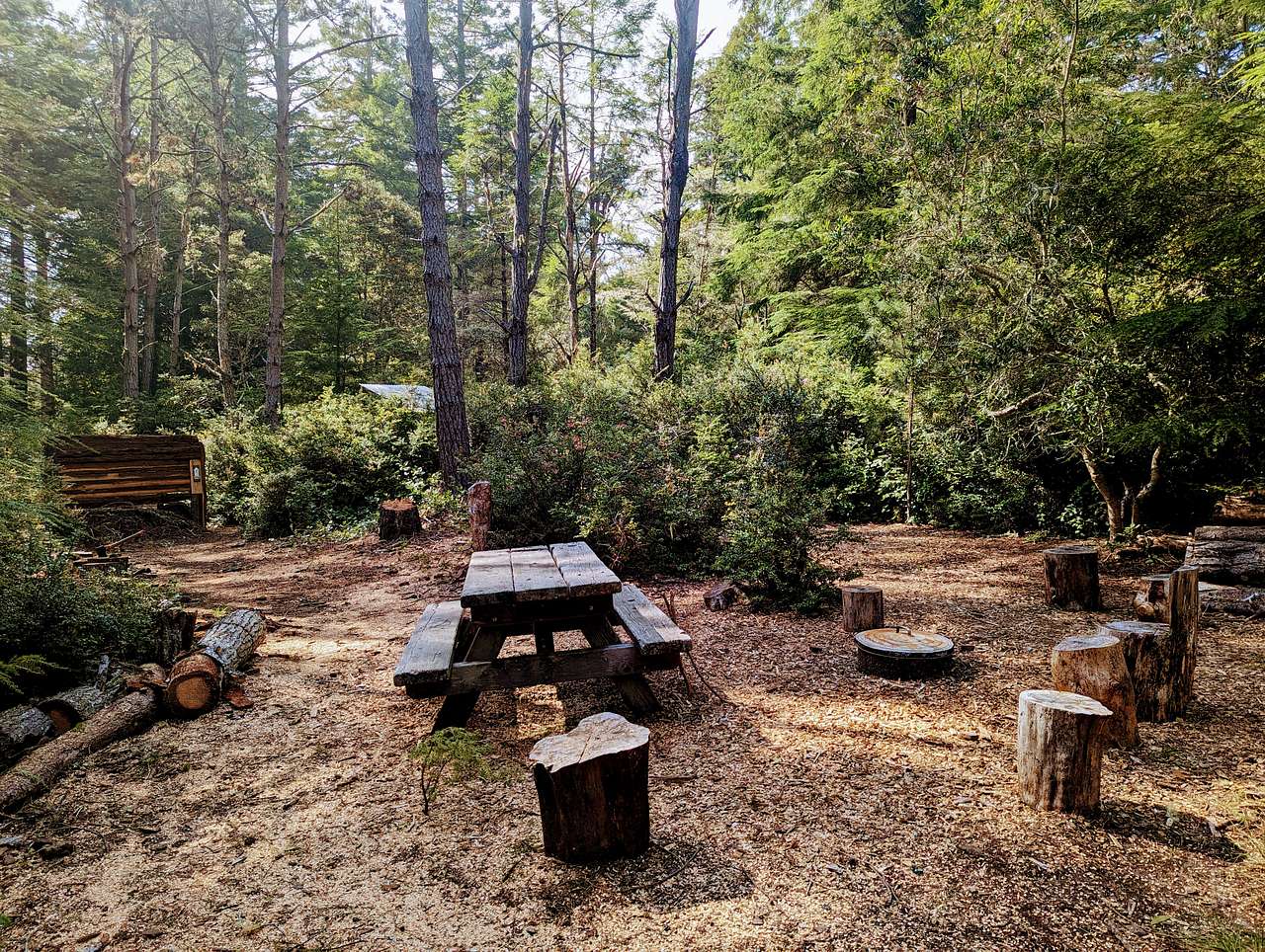 Picture of the site