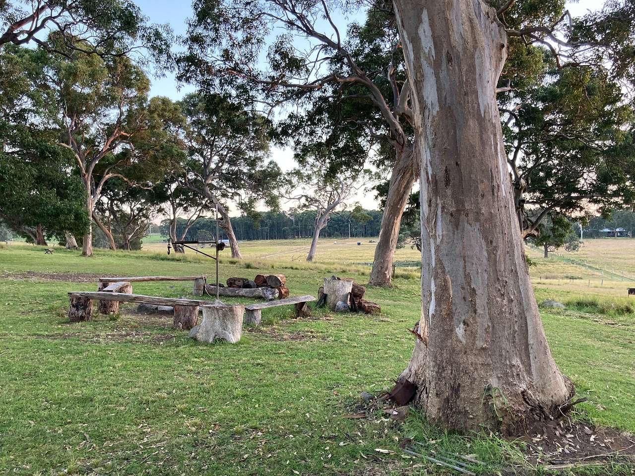 Picture of the site
