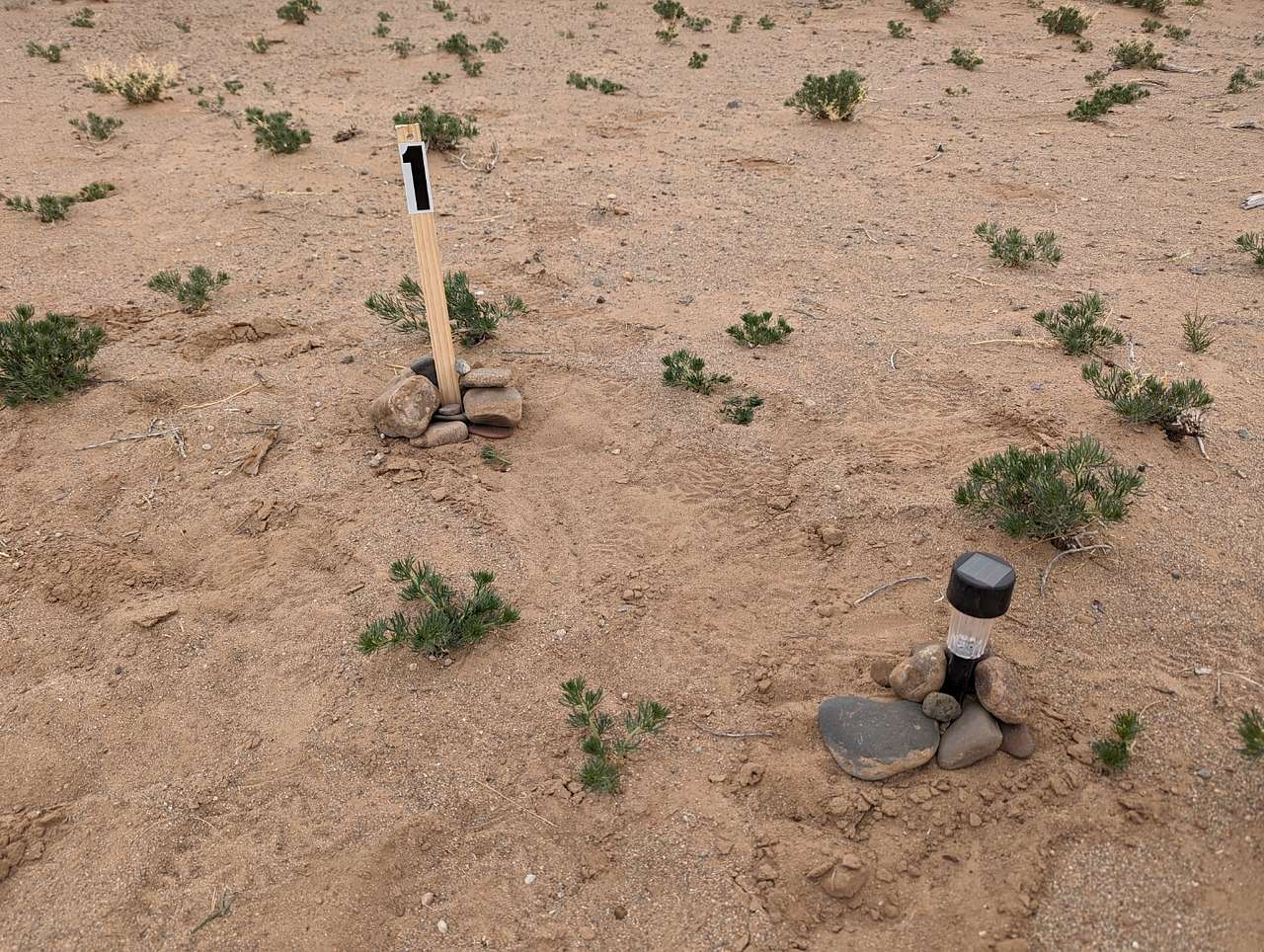 Picture of the site