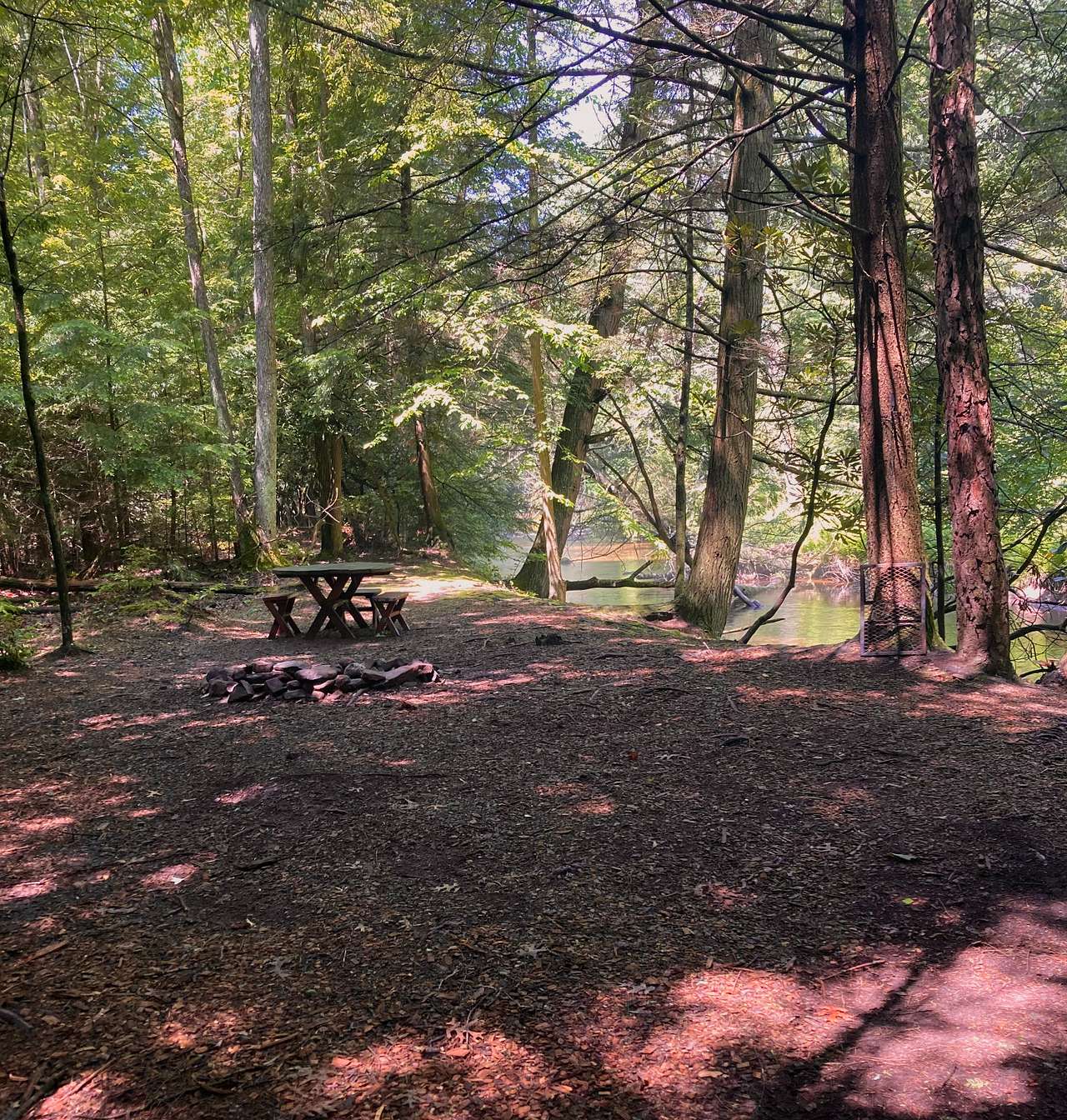 Picture of the site