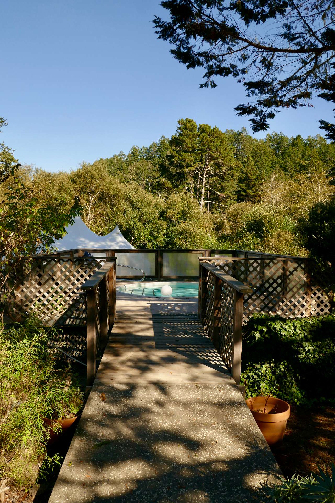 Picture of the site