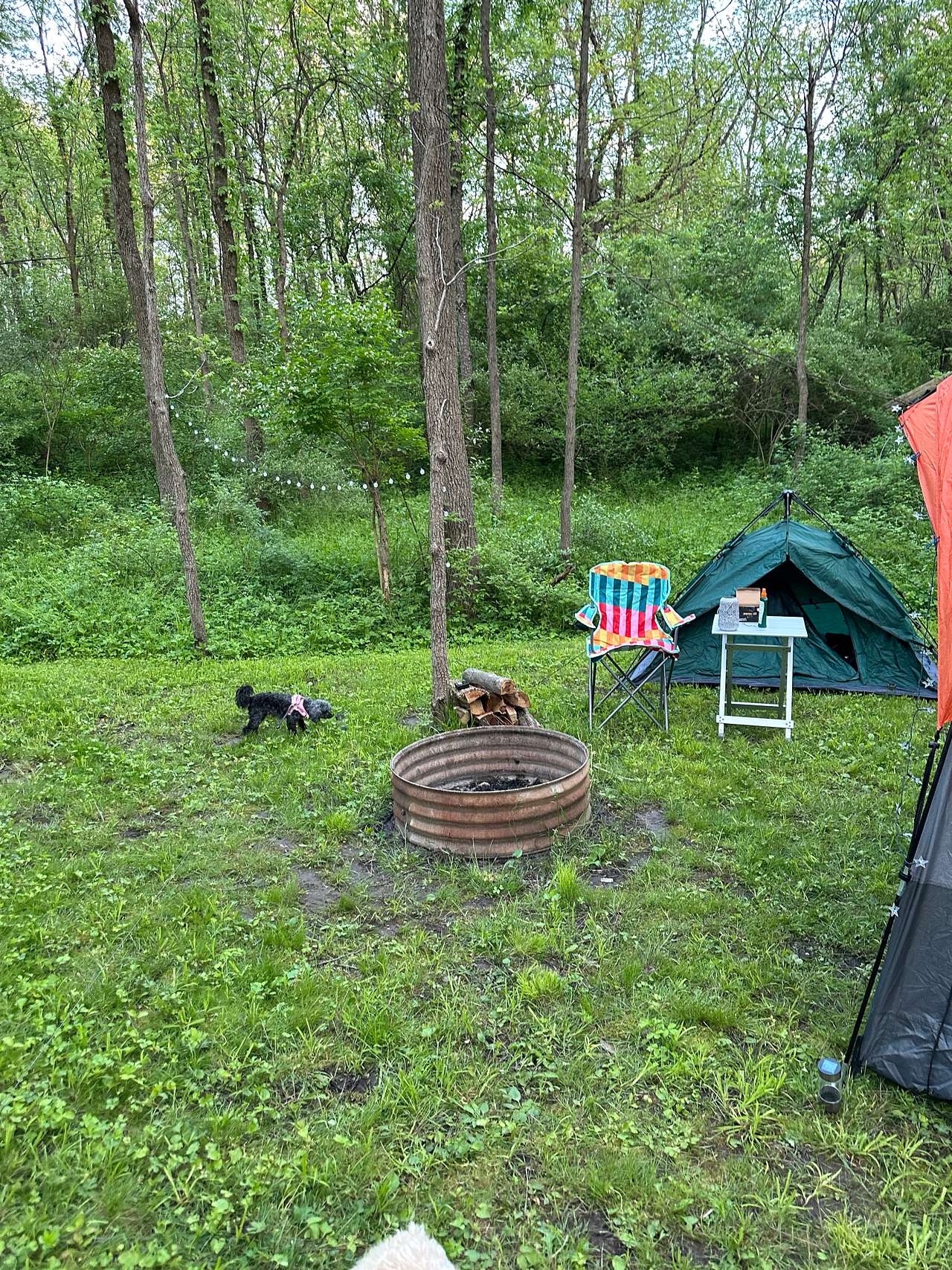 Picture of the site