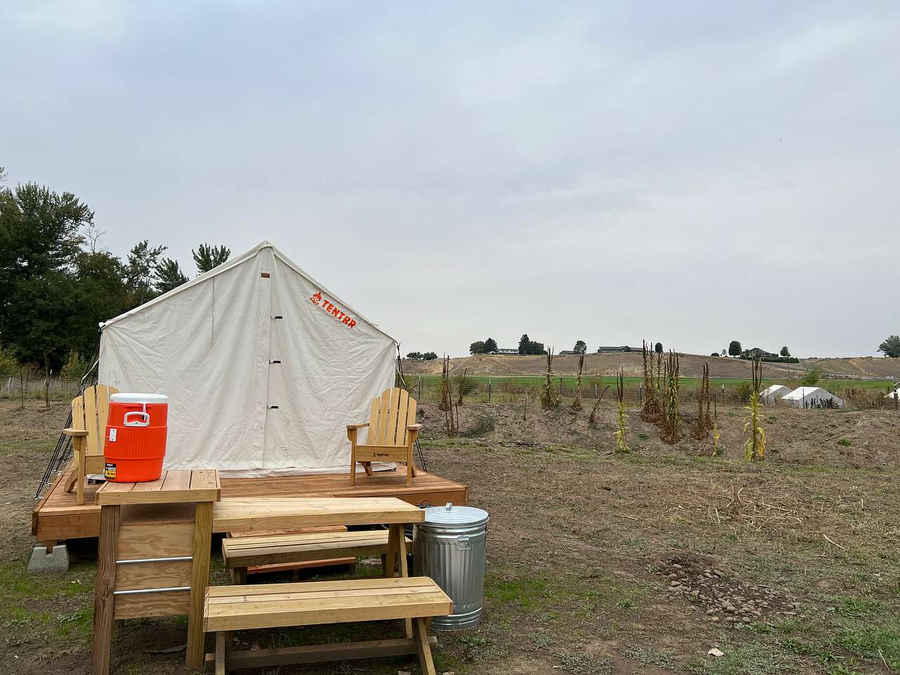 Picture of the site