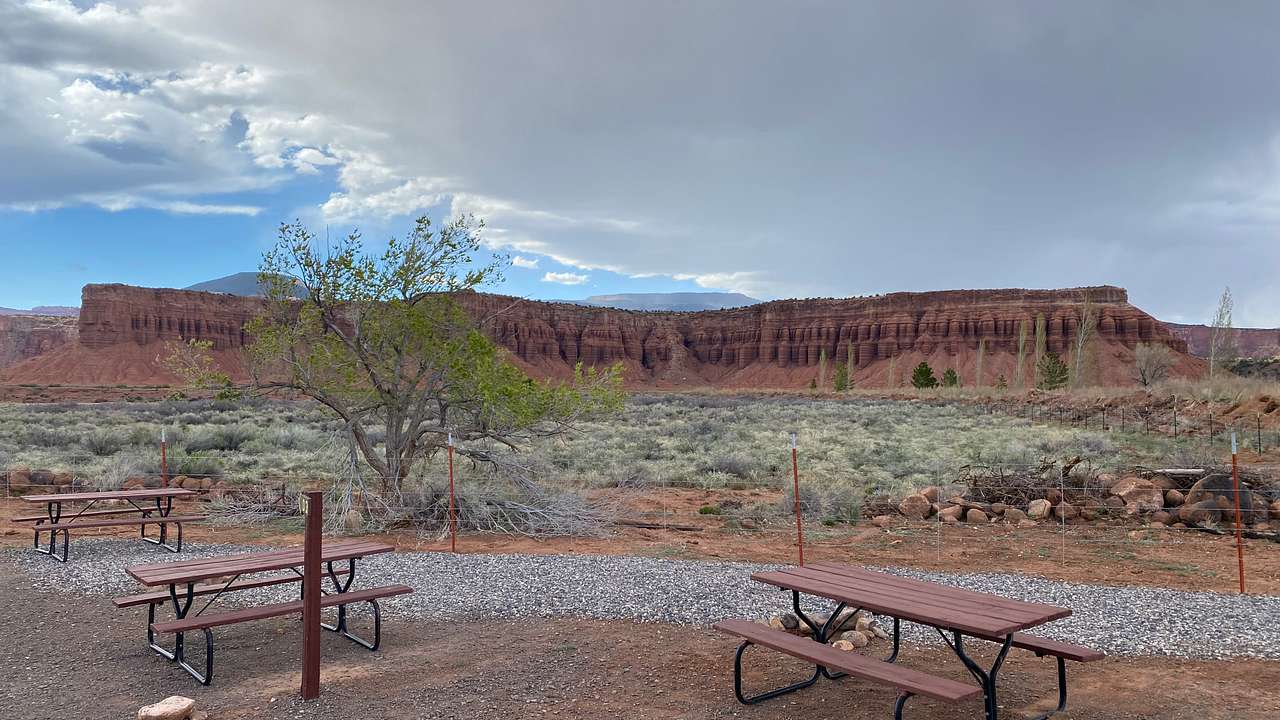 Picture of the site