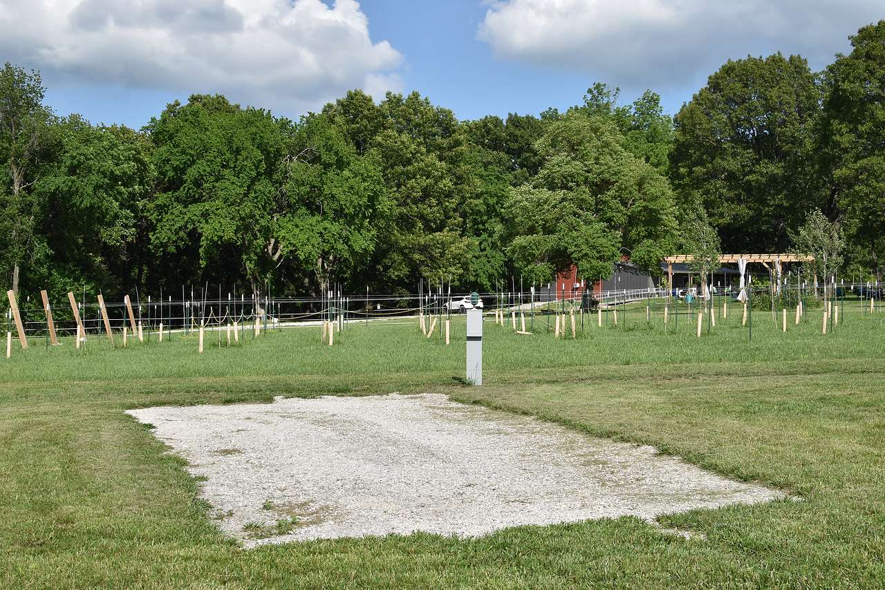 Picture of the site