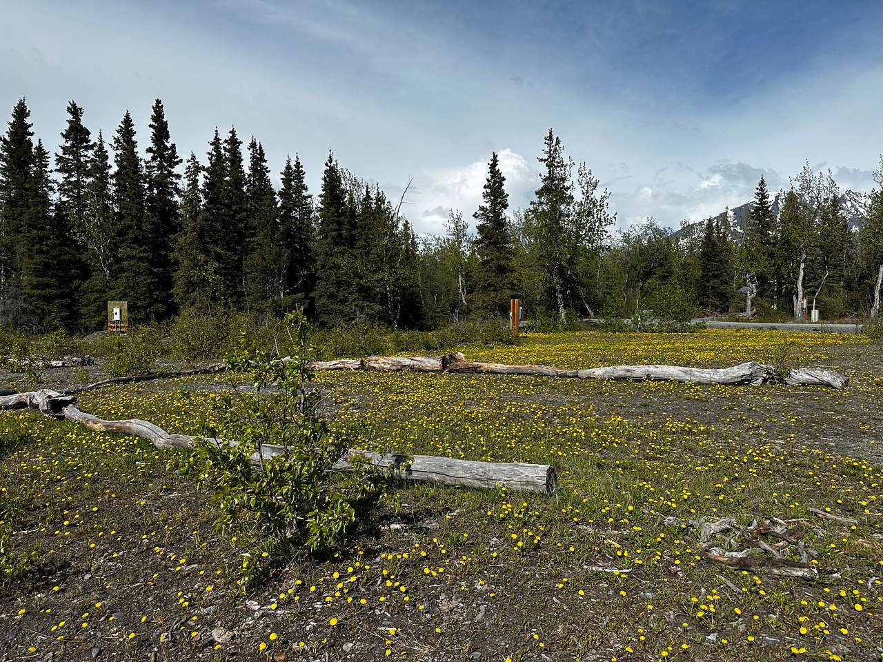 Picture of the site