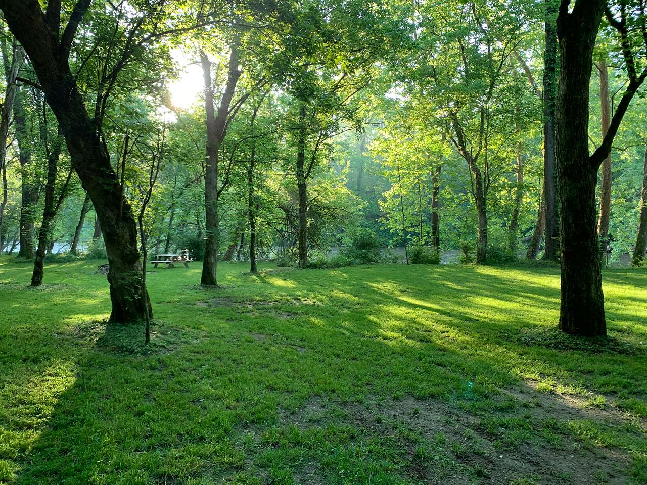 Picture of the site