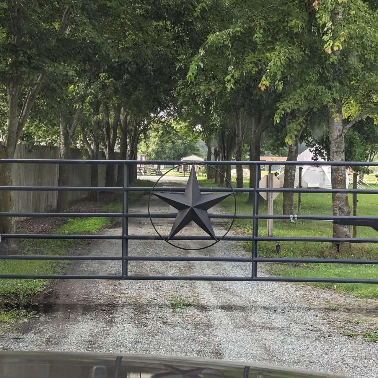 Picture of the site
