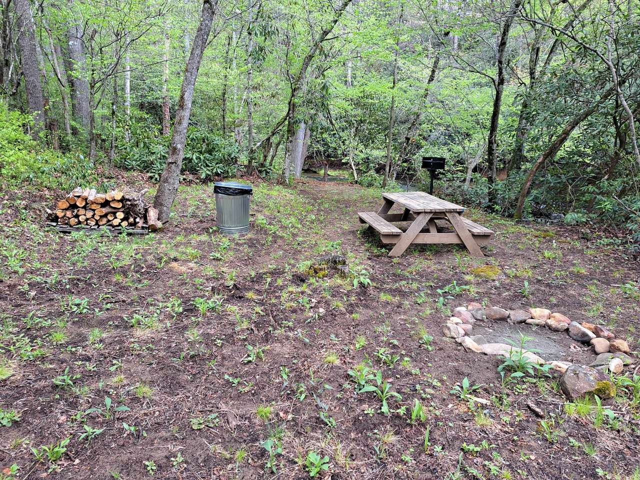Picture of the site