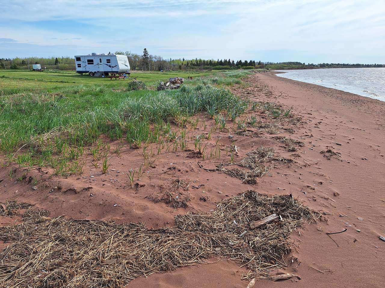 Picture of the site