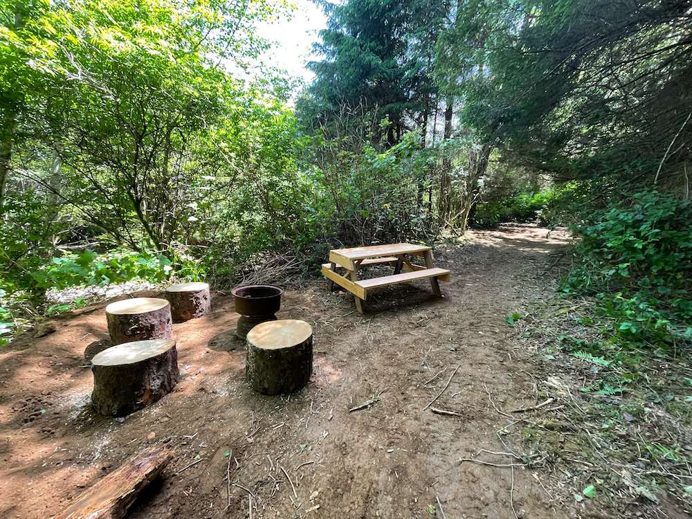 Picture of the site