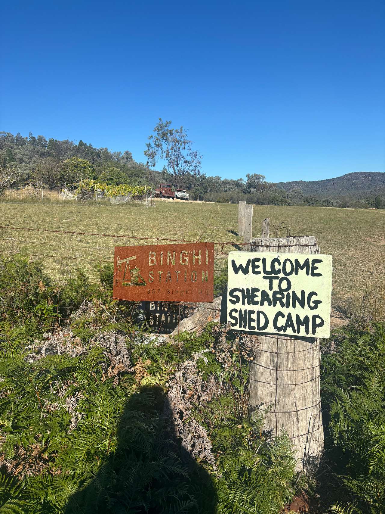 Picture of the site