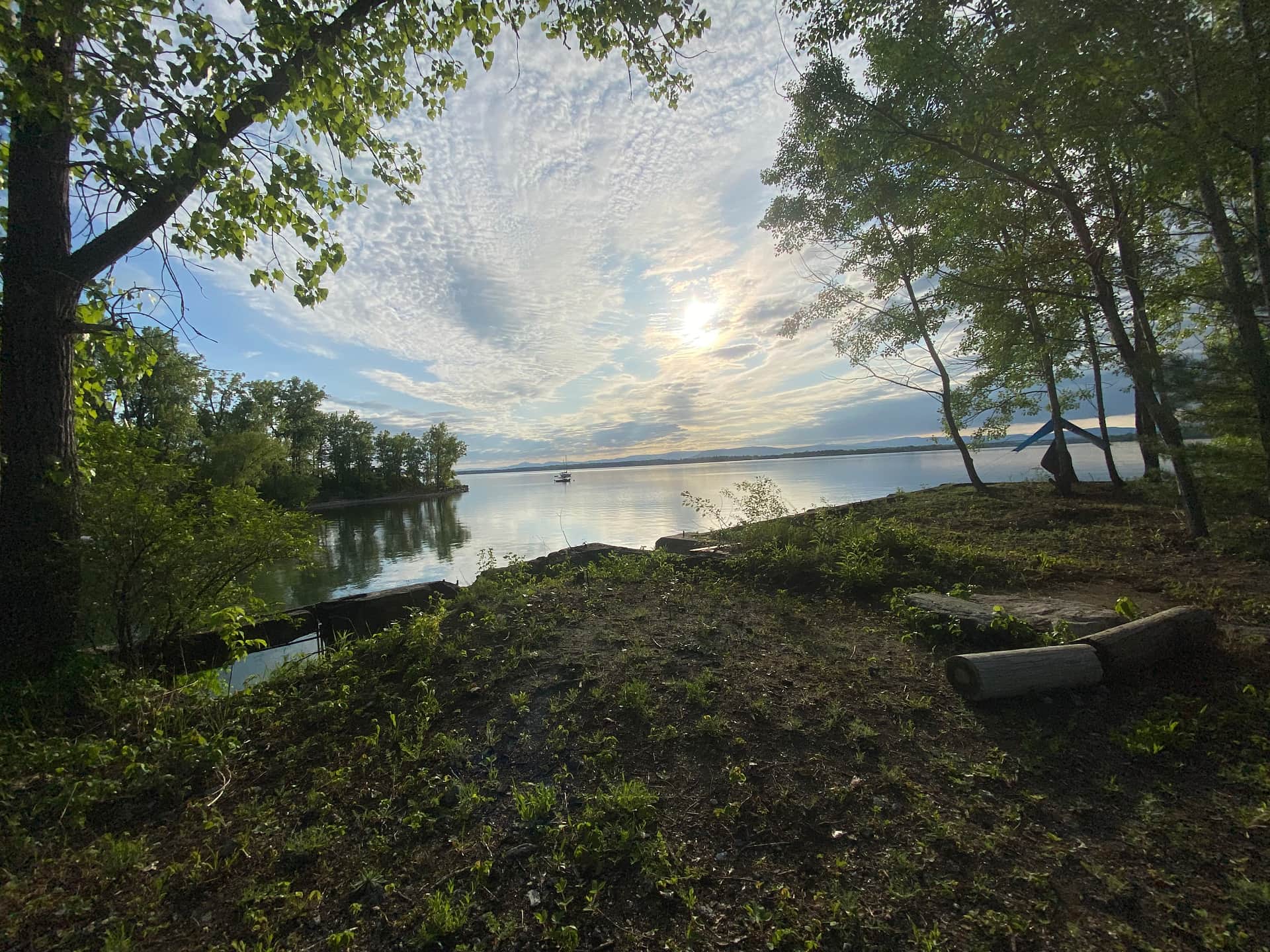 Picture of the site