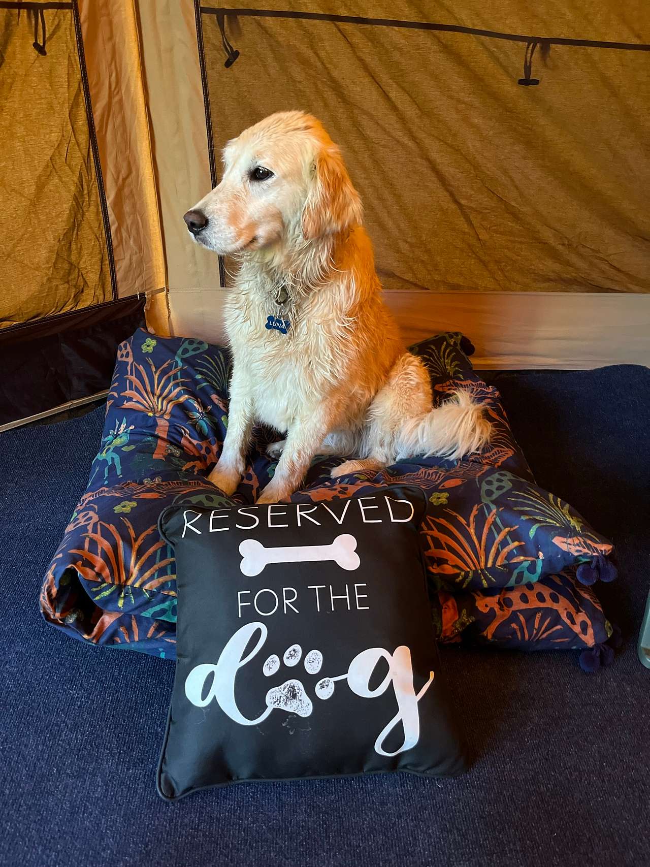 View pets photos of Riverside Respite at New Richmond