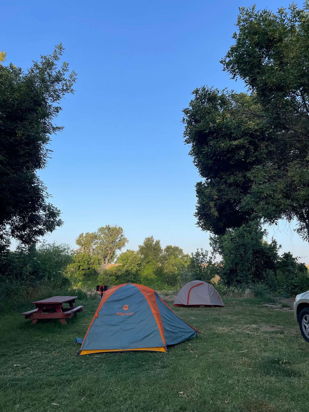 Picture of the site