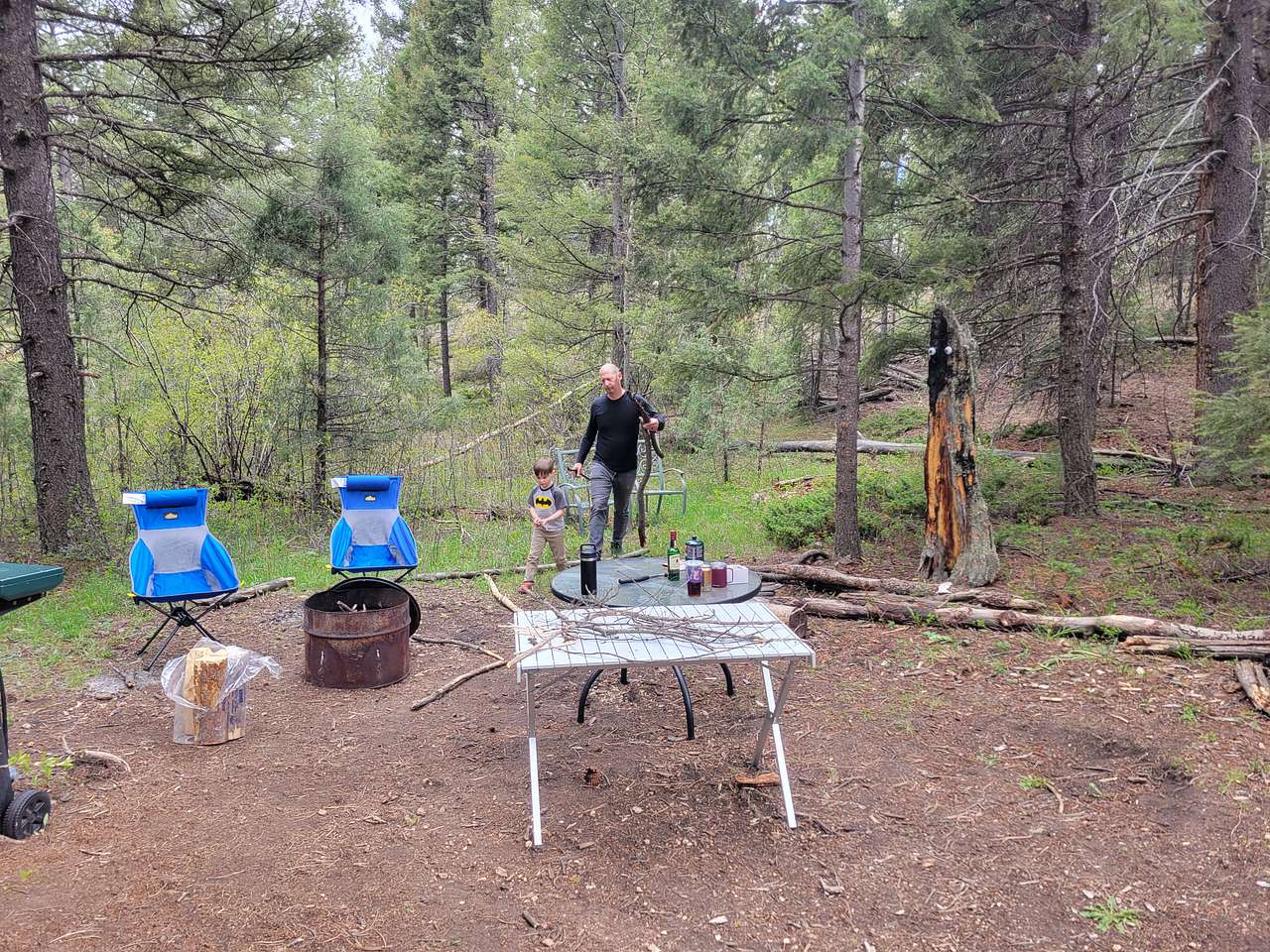 Picture of the site