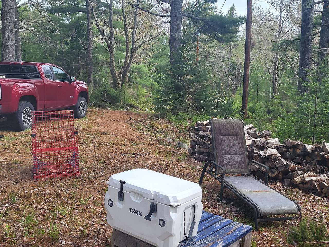 Picture of the site